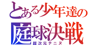 とある少年達の庭球決戦（超次元テニヌ）