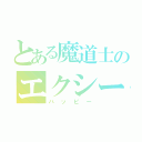 とある魔道士のエクシード（ハッピー）