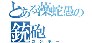 とある藻蛇愚の銃砲（ガンホー）