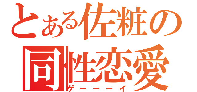 とある佐粧の同性恋愛（ゲーーーイ）