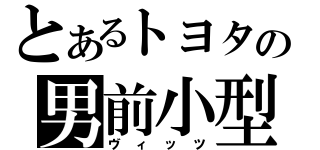 とあるトヨタの男前小型（ヴィッツ）