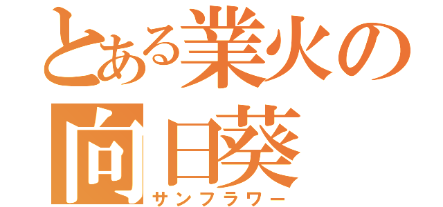 とある業火の向日葵（サンフラワー）