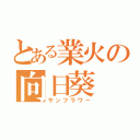 とある業火の向日葵（サンフラワー）