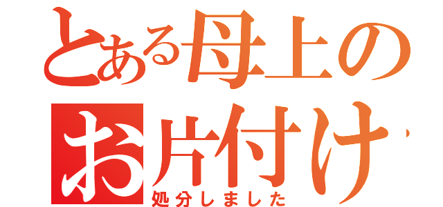 とある母上のお片付け（処分しました）