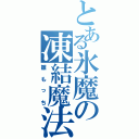 とある氷魔の凍結魔法（雛もっち）