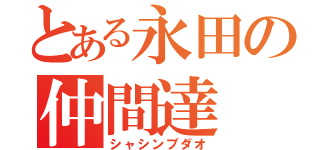 とある永田の仲間達（シャシンブダオ）