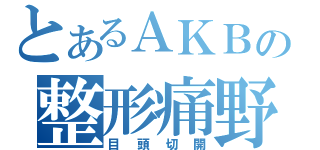 とあるＡＫＢの整形痛野（目頭切開）