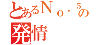 とあるＮｏ．５の発情（）