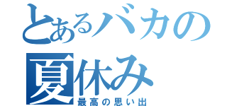 とあるバカの夏休み（最高の思い出）