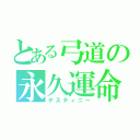 とある弓道の永久運命（デスティニー）