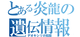 とある炎龍の遺伝情報（デオキシリボ核酸）