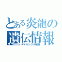 とある炎龍の遺伝情報（デオキシリボ核酸）