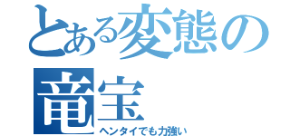 とある変態の竜宝（ヘンタイでも力強い）