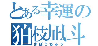 とある幸運の狛枝凪斗（きぼうちゅう）