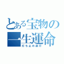 とある宝物の一生運命（打ち止め通行）