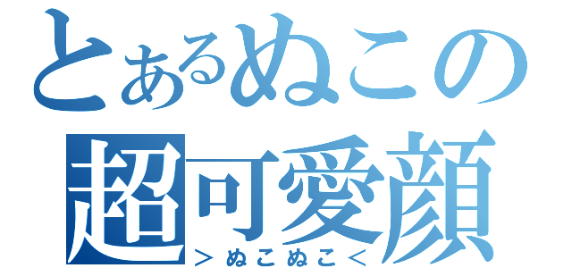 とあるぬこの超可愛顔（＞ぬこぬこ＜）