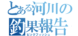 とある河川の釣果報告（ビックフィッシュ）