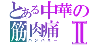 とある中華の筋肉痛Ⅱ（ハンパネー）