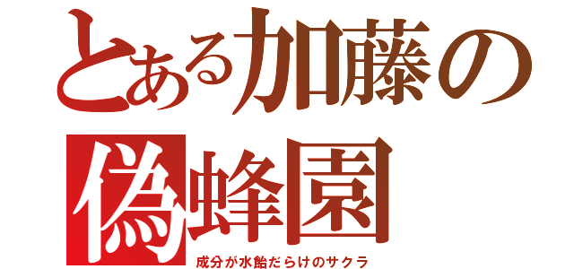 とある加藤の偽蜂園（成分が水飴だらけのサクラ）