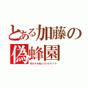 とある加藤の偽蜂園（成分が水飴だらけのサクラ）