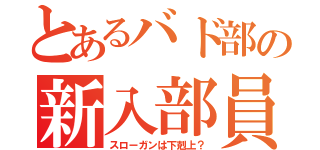 とあるバド部の新入部員勧誘（スローガンは下剋上？）