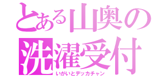 とある山奥の洗濯受付（いがいとデッカチャン）