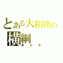 とある大相撲の横綱（貴乃花）