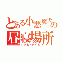 とある小悪魔犬の昼寝場所（ハッピータイム）