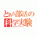 とある部活の科学実験（エクスペリメント）