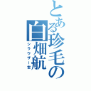 とある珍毛の白畑航（シラウザー世）