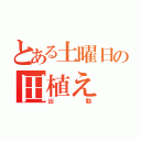 とある土曜日の田植え（出勤）