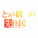 とある橋の先住民（でんぱさん）