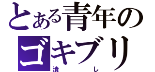 とある青年のゴキブリ（潰し）