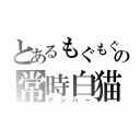 とあるもぐもぐの常時白猫（アンバー）