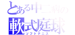 とある中二病の軟式庭球（ソフトテニス）