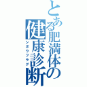 とある肥満体の健康診断書（シボウフラグ）