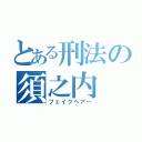 とある刑法の須之内（フェイクヘアー）