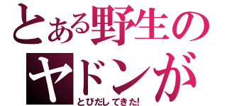 とある野生のヤドンが（とびだしてきた！）