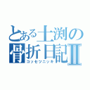 とある土渕の骨折日記Ⅱ（コッセツニッキ）