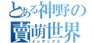 とある神野の賣萌世界（インデックス）