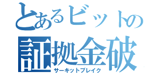 とあるビットの証拠金破壊（サーキットブレイク）