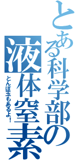 とある科学部の液体窒素（とんぼ玉もあるよ！）