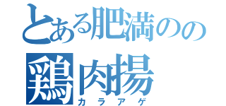 とある肥満のの鶏肉揚（カラアゲ）