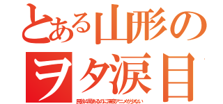 とある山形のヲタ涙目（民放４局あるのに深夜アニメが少ない）