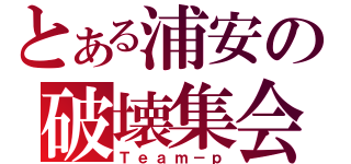 とある浦安の破壊集会（Ｔｅａｍ－ｐ）