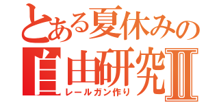 とある夏休みの自由研究Ⅱ（レールガン作り）