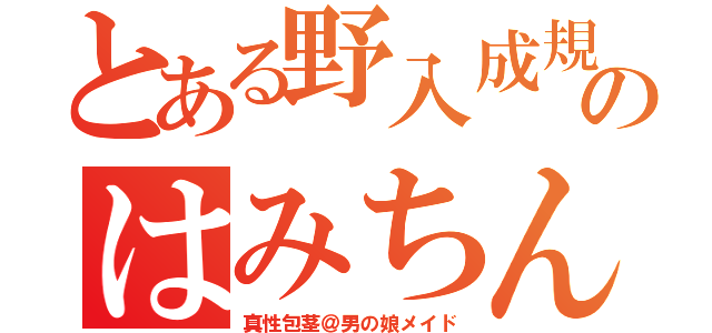 とある野入成規のはみちん（真性包茎＠男の娘メイド）