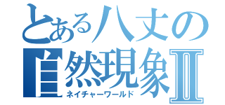 とある八丈の自然現象Ⅱ（ネイチャーワールド）