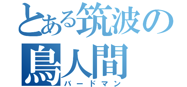 とある筑波の鳥人間（バードマン）