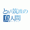 とある筑波の鳥人間（バードマン）